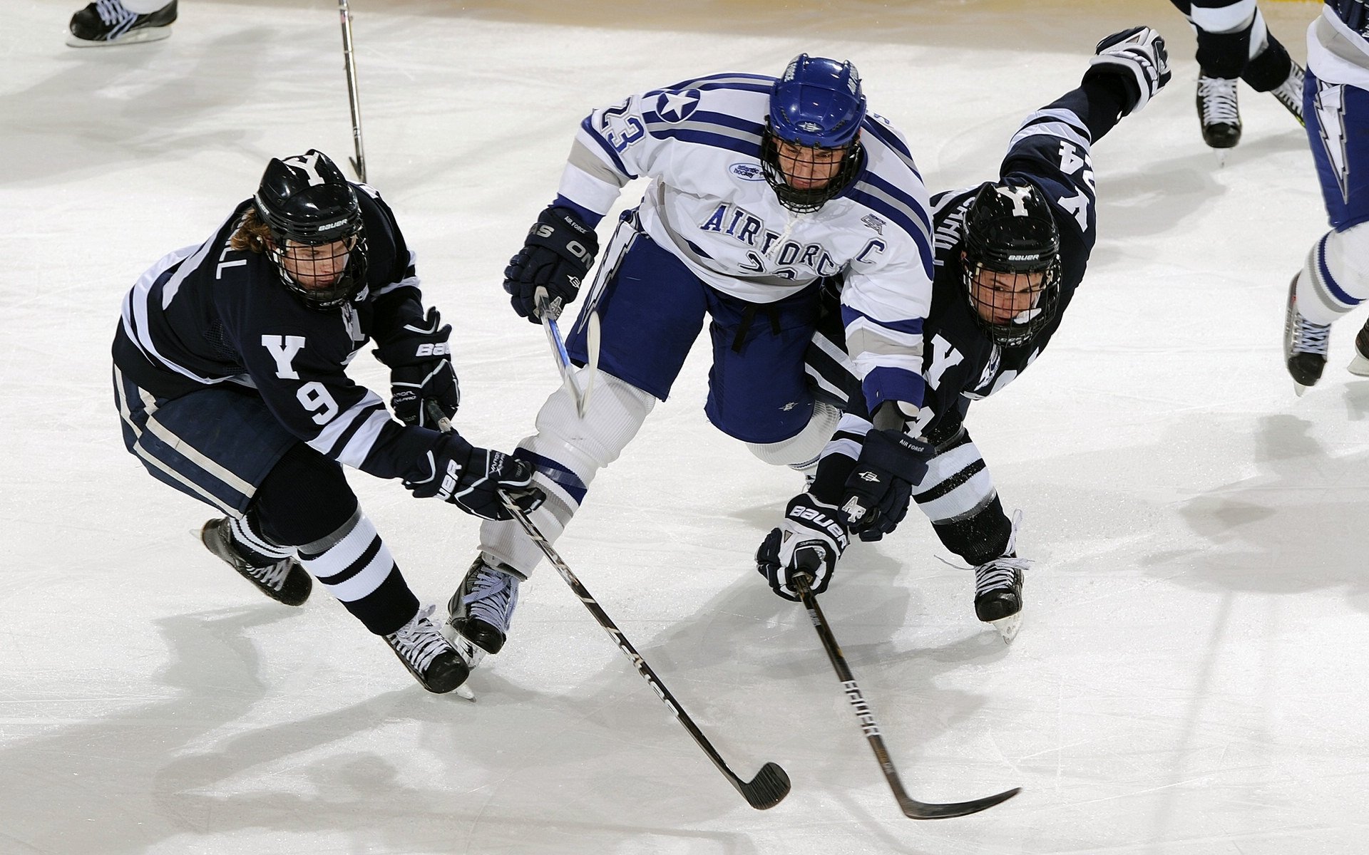 双子星组合哪对效率最高，双子星lv