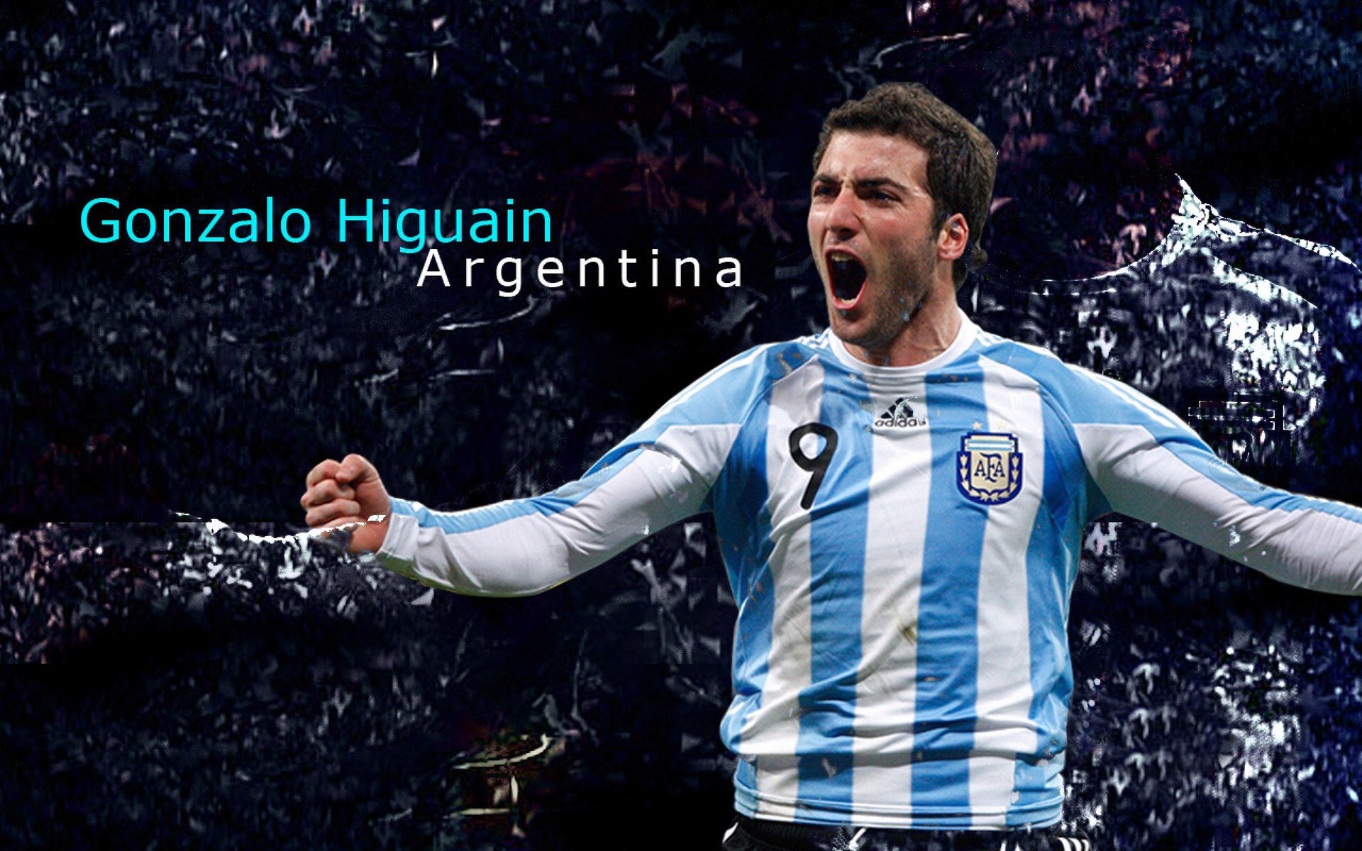 体育新闻中心数据分析趋势，国内体育新闻报道