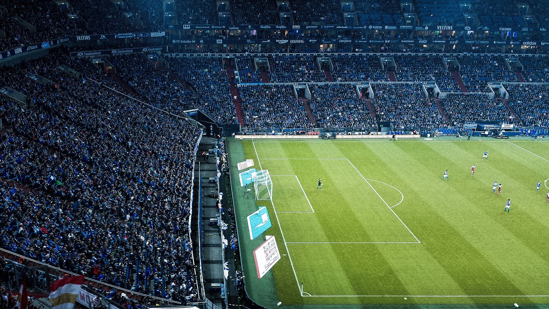 塔特打破传统打法，以新鲜战术带领袋鼠队攀升至顶峰